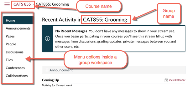 a screenshot of the group workspace in Canvas; the group name is in the center top of the page; the course name is in the top, left corner; the menu option available to students is along the left column of the page