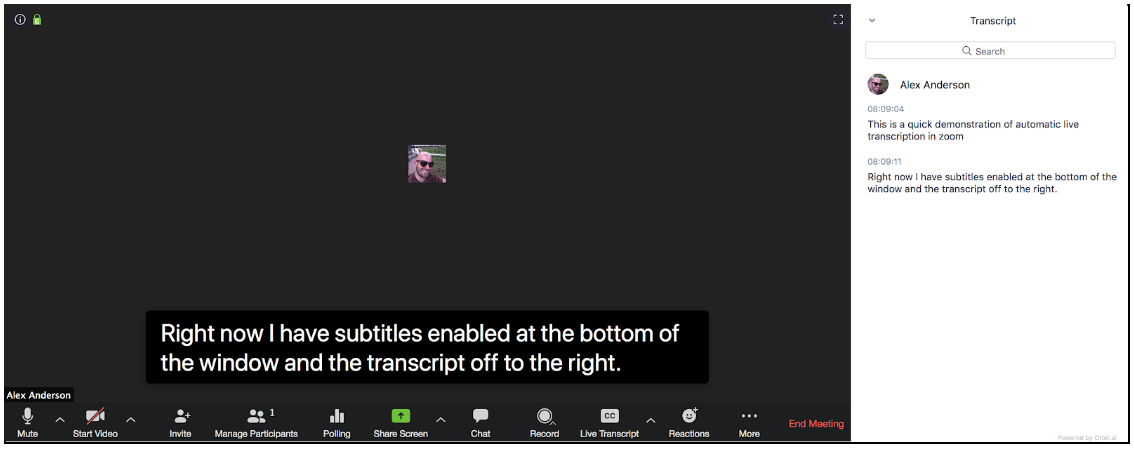 A screenshot showing Zoom with both subtitles and transcript enabled, for comparison.