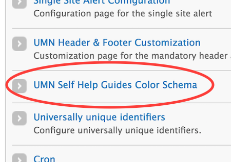 A screenshot showing the link for UMN Self Help Guides Color Schema following UMN Header & Footer Customization