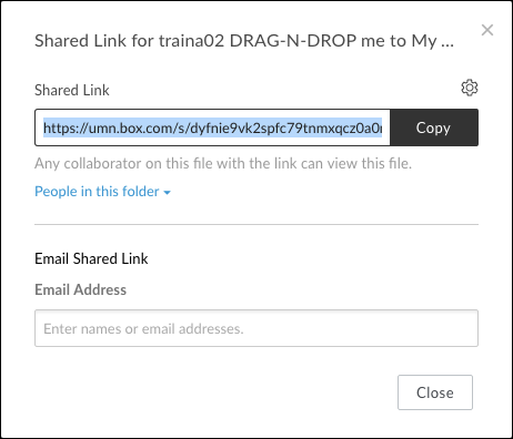 A screenshot of the Shared Link box with the URL for the Shared Link highlighted
