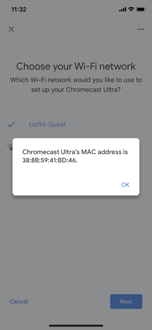 Chromecast MAC address display in the Google Home app.
