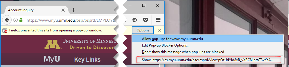 Pop-up Blocked ribbon in Firefox window. The Options button and Always allow pop-ups radio button is selected. Show [URL] is highlighted.