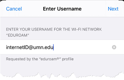 Partial view of the Enter Username page with a sample full University of Minnesota email address entered.