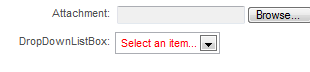 sample WorkflowGen form as it will appear to participants
